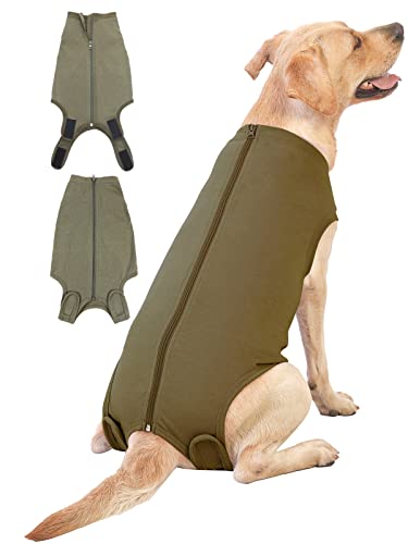 ̎pJo[X[c - DȀ͊OȓI񕜌Ar߂ɂʋĈ錢pW[A^A^A^ybgpA֕уR[EJ[