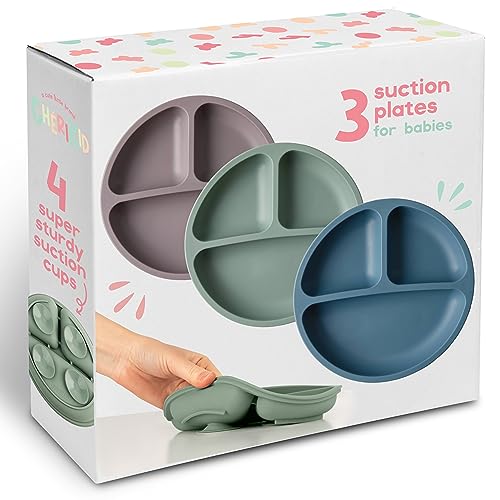 Top 10 Best Suction Plate For Toddlers Reviews & Buying Guide Katynel