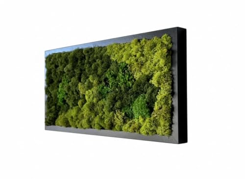 Wall Hanging - Unique Moss Wall Art - Moss Art Design - Home Decor - Office Decor - Preserved Moss - Green Wall - Unique Gift - Made in USA. (31' X 14') Black