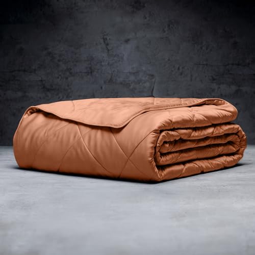 Image of LUXOME Lightweight Blanket | 100% Rayon (Viscose) from Bamboo Fabric & Fill | King /Cal King - 98 inchx92 inch | Thermal-Regulating | Terracotta