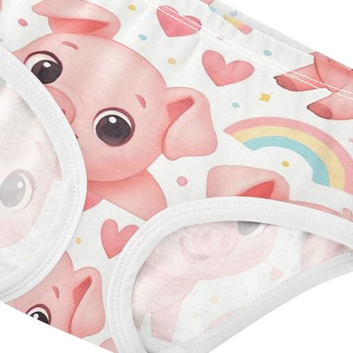 Cotton Toddler Underwear Floral Cute Cartoon Pink Rainbow Panties for Girl Funny Underpants Briefs 2t4