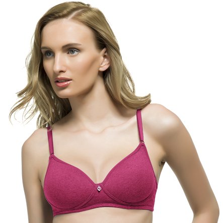 Image of Women Bra