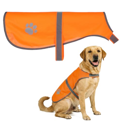 Orange Dog Vest High Visibility Dogs Safety Vests Orange Adjustable Soft Service Vest for Large Dogs Outdoor Activities Walking Training Jogging (M)