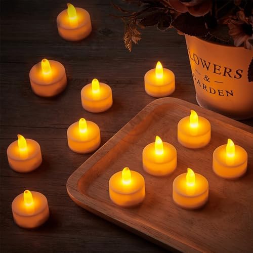 wowjimi LEDLhCg 12 낤 dr  낤   CeACg CeA k S G lC ʐ^ NX}X NX}X VN  a ?O p[eB[ j (~`-12