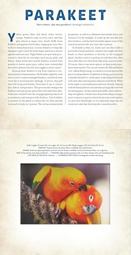 Birds: A Photicular Book 2