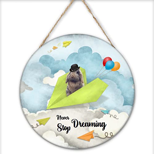 Finamille Inspirational Wall Art -Never Stop Dreaming,Rabbit Shabby Chic Round Sign for Kid's Bedroom Classroom Nursery 12x12 Inches Wooden Door Hanger
