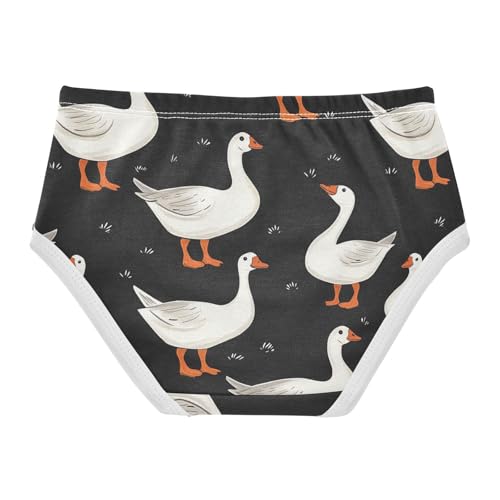 Wusikd Farm Animal Girls' Underwear Cotton Goose Duck Girls Briefs Soft Toddler Underwear 2T2