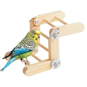 Bird Perch | Adjustable Angle Claws Sharpening Station,Climbing Bird Toy Ladder – for Cockatiel Lovebird Avian Natural Gum Health Ornament