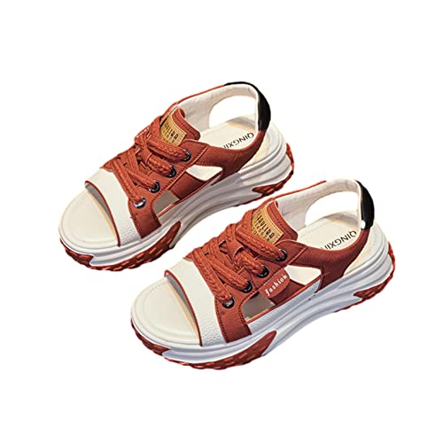 [Nilafly]  X|[cT_ fB[X TCY w6cmȂ [XAbv I[vgD [Jbg   Xj[J[ 킢 ʋΒʊw vbgtH[ W[p bg 21.5 cm