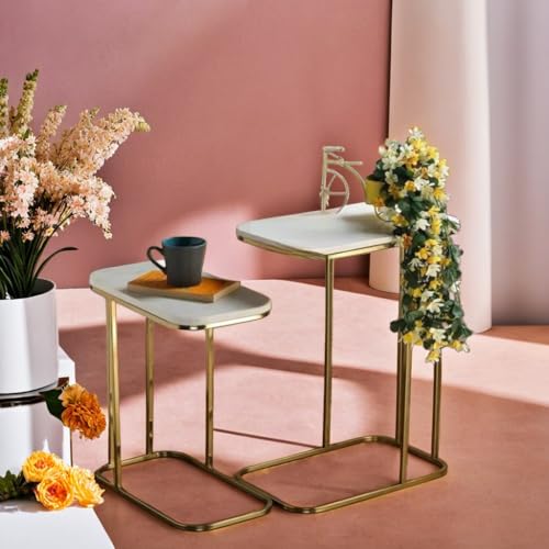 Image of Iron Frame Coffee Table with Premium Wooden top Handmade Rectangular Sofa Side Table for Sofa Side, Bed Side, Drawing Room, Bed Room (White Gold)