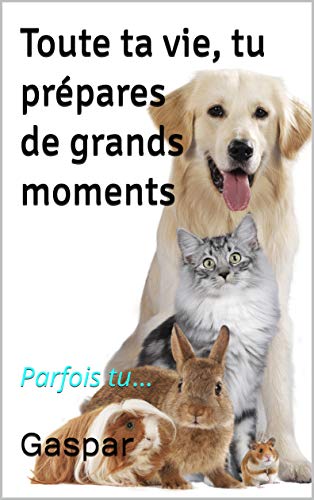 Toute ta vie, tu prépares de grands moments: Parfois tu… PDF