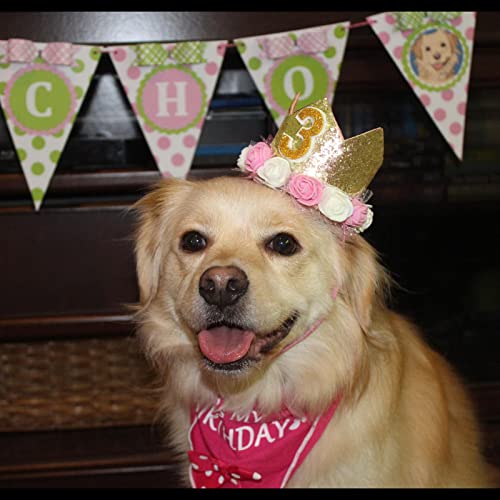 Pet Birthday Party Crown with 0-9 Figures Charms (Gold) - Image 3