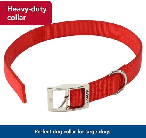 Coastal Pet - Double-Ply Dog Collar, Black, 1" x 24"