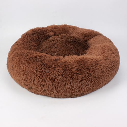 [ADSNS] ybgxbh g L xbh  xbh ybgxbg ybgp NbV ~ J[7 Vv 킢  ӂӂ  x[W O[ sN AC{[ 킢 L ˂ lR  _炩 60