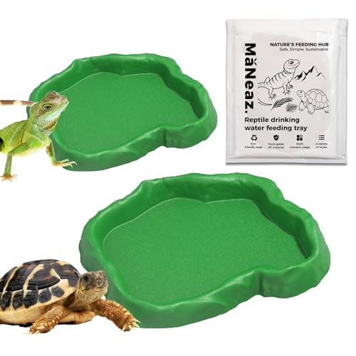 MaNeaz 2 Pezzi Ciotola Per Tartarughe Di Terra Abbeveratoio Per Tartarughe Di Terra Teca Per Rettili Bacino Idrico Del Bacino Alimentare Reptile Per Tartarughe Geco Serpente（Verde）