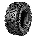 2 Pack 25x10-12 ATV UTV Tire, Torchbeam 25x10x12 All Terrain Tires 6 PR, Z-199-1
