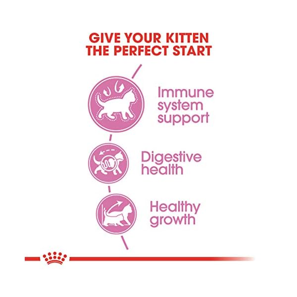 ROYAL CANIN Feline Health Nutrition Kitten Dry cat Food, 15-Pound by Royal Canin – Bild 4