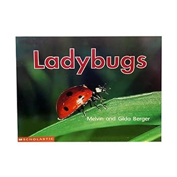 Paperback Ladybugs (Scholastic Time-to-Discover Readers) Book