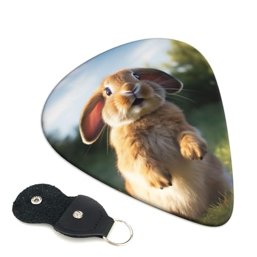 �L���[�g�Ŗʔ����E�T�M�̃M�^�[�s�b�N6�_�A����0.96mm�̃Z�����C�h�v���N�g�������U�[�s�b�N�z���_�[�t���A�x�[�X�G���L�A�R�[�X�e�B�b�N�M�^�[���D�Ƃւ̃M�t�g�Ƀp�[�\�i���C�Y���ꂽ�M�^�[�s�b�N�B