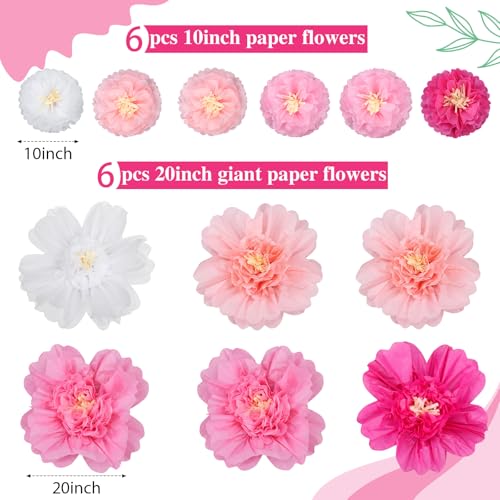 Image of TaoBary Large Colorful Tissue Paper Flowers Giant Fiesta Paper Pom Poms Classroom Wall Decor Mexican Birthday Party Decorations Wedding Backdrop(20 inch and 10 inch,Gradient Pink,12 Pcs)