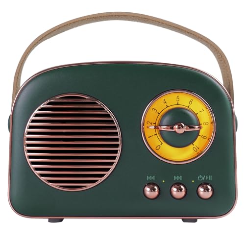 Aresrora Portable Retro Bluetooth Speaker,Vintage Gifts for Men and Women,Room Decor,Small Wireless Bluetooth Speaker,Cute Style for Office Home Kitchen Desk,Support USB/TF Card/AUX