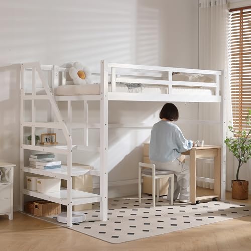 OSJ tgxbh VR ؐ nC^Cv VO {t Kit 172cm qxbh RZgt i`