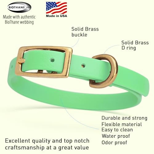 Image of Viper Biothane Heavy Duty Waterproof Dog Collar Strong Coated Nylon Webbing w /Solid Brass Hardware Odor-Proof for Easy Care to Clean High Performance Fits Small Medium or Large Dogs, Sea Foam Green