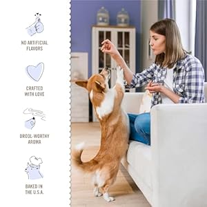 Three-Dog-Bakery-Classic-Cremes-Baked-Dog-Treats-Golden-with-Peanut-Butter-Filling-13-ozBrown310077 - Cucciolini Doodles   Three-Dog-Bakery-Classic-Cremes-Baked-Dog-Treats-Golden-with-Peanut-Butter-Filling-13-ozBrown310077