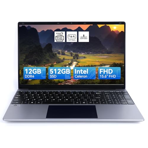 URAO Laptop 15.6 Inch Intel Celeron N5095 Quad-Core CPU 2.9Ghz,12GB DDR4 512GB SSD, Lightweight Laptop Computer HD Display 1080P, 2.4/5G WiFi, Bluetooth 4.2, 2xUSB 3.0,Type-C
