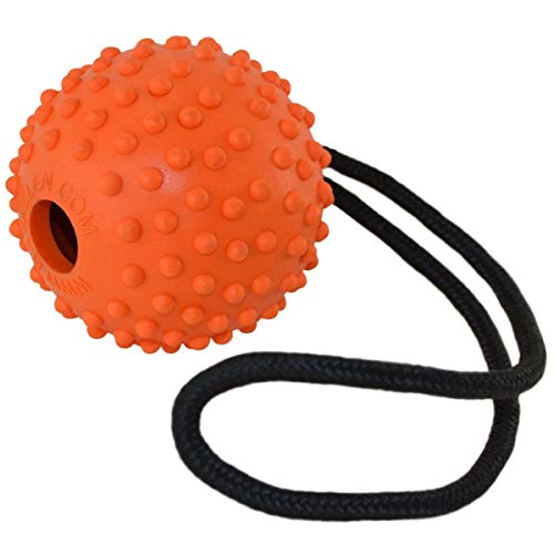 Ray Allen Ball on a Rope - Professional Quality Dog Training Ball - Orange 3" Diameter with Loop Handle