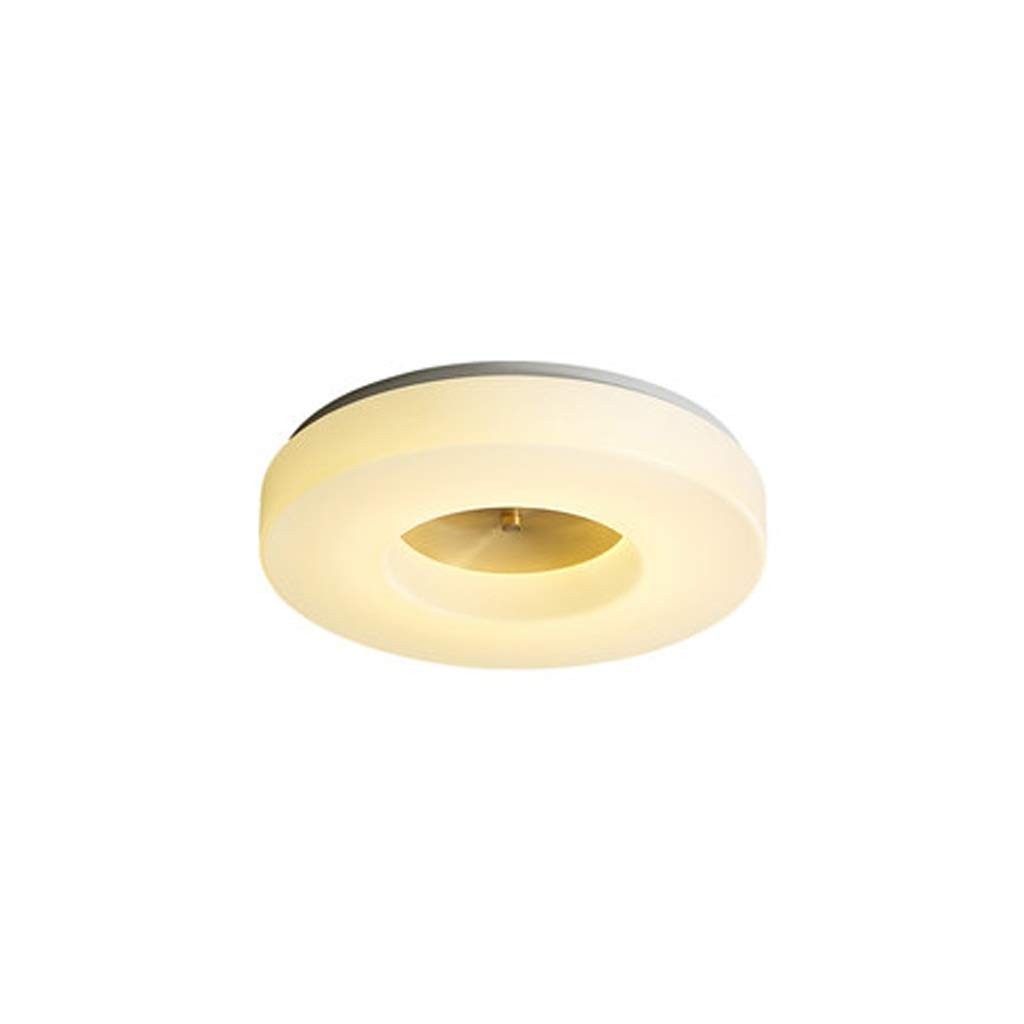 HynJGih Modern Simple Ceiling Lamp Light Luxury Study Room Storage Lamp Aisle Corridor Hall Round Lamp LED Light(34.5CM)