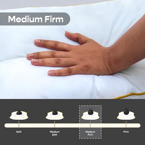 SleepyCat Slim Pillow with Microfiber, Designed for Neck and Spine Alignment | Ideal for Minimal Elevation | Luxe Microfibre Pillow | Machine Washable |1-Piece, Standard Size, 26x16 inches