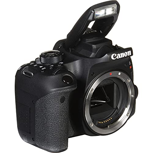 Canon EOS Rebel 800D DSLR Cámara Cuerpo Solo miniatura 6