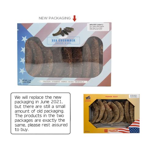 Dol Aaa Grade Sun Dried Wild Caught Mexico Sea Cucumber, Aaa Grade All Natural Nutritious 特級墨西哥野生鮑魚參/梅花刺參 (Xl 1Lb/Box) #TOP1