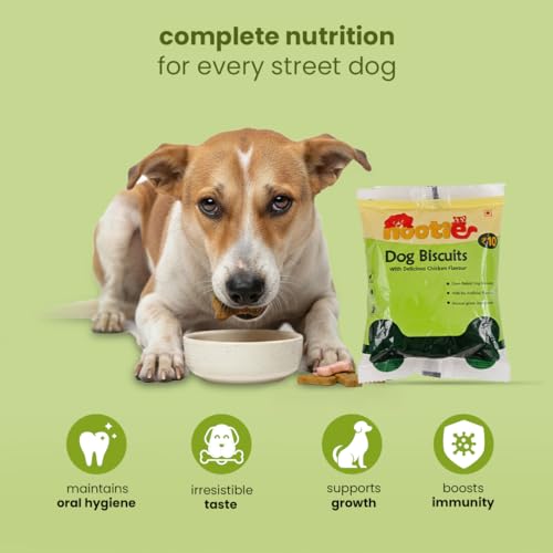 Image of Nootie Chicken Biscuits for Stray Dogs - 40g | High-Protein Crunchy Treat (Pack of 150)
