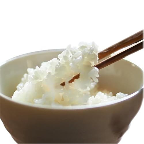 令和7年産 白米 環境保全米 コシヒカリ 10kg|棚田米 お米 ※北海道・沖縄・離島への配送不可
