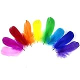 plumas colores acuarela 【Uso previsto】 Hermosas plumas se pueden usar en varios proyectos de manualidades de bricolaje, como atrapasueños, accesorios para el cabello, máscaras de plumas, etc.