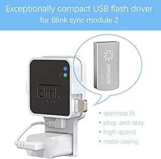 Chiavetta USB da 256 GB per archiviazione video locale con supporto Blink Sync Module 2 (modulo Blink Add-On Sync 2 non incluso), confezione da 2