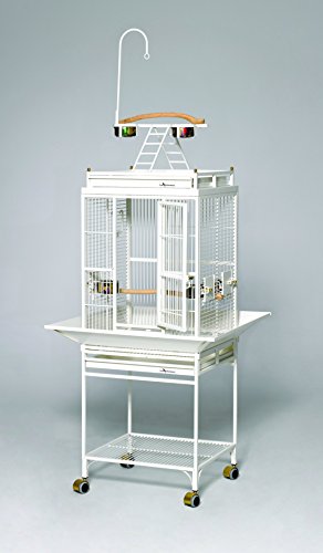 Image of MidWest Homes for Pets Avian Adventures Nina Playtop Bird Cage