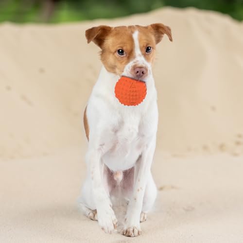Image of Best Pet Supplies Interactive Squeaky Dog Chew Toy, Ideal Dog Toys for Chewers, Small, Medium & Large Dogs, and Fetch Lovers - Spiky Ball (Blue, Orange), Large 3.5 inch