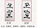 MEGREZ Chinese Japanese Calligraphy Xuan Paper, Rice Paper Sumi Calligraphy Paper for Calligraphy Brush Ink Writing, Painting Without Grids 100 Sheets/Bag,13.4X 26.7inch, Sheng (Raw) Xuan