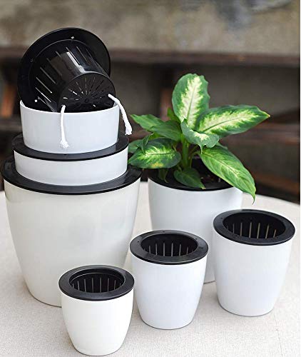 5 Pack Lazy Flower Pots Water Hanging Plants Pot/Self Watering Planter,Succulent Plants And Small Flower Pots Plants Pots Indoor Out Wall Hang Flowerpot Window Boxes With 5 Hooks Silver (White) #TOP6
