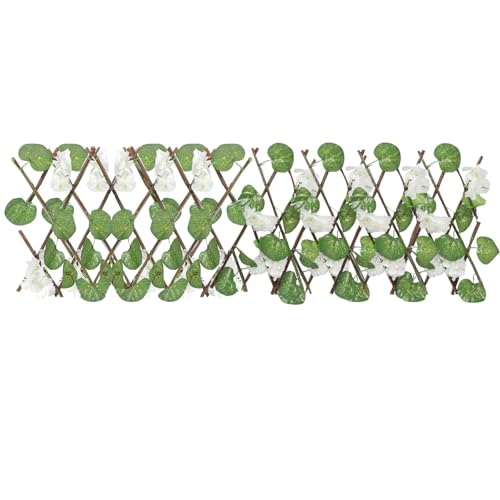 TIDTALEO ԕteBXtFX ؐgXpl OoRj[ eXpvCoV[XN[ K[f