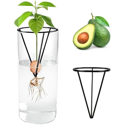 UNIFAMILY Avocado Seed Starter Vase Cover