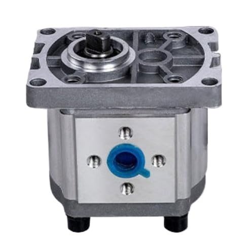 Hochdruck-Zahnradpumpe CBN-F304 F306 F308 F310 F314 CBN-F316 E306 310 316 Hydraulikpumpe CAIHUA (Größe : CBN-F310 right Flat key)