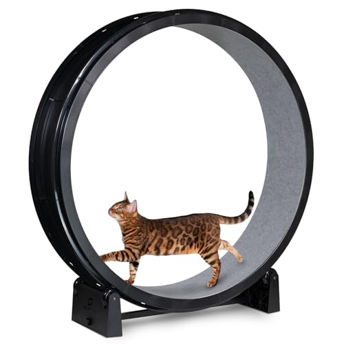 Image of One Fast Cat - Cat Exercise Wheel - Gen. 7 - Safe 48 inch Diameter - Made in The USA - Black Wheel with Gray Felt Traction Pads and Light-Up LED Inline Wheels