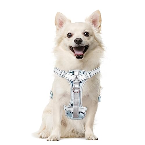 Bobby Safe Hundegeschirr Für Kleine Hunde – Reflektierend, Größe S (Brustumfang 38-50 Cm), Grau