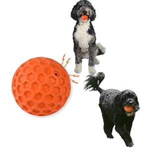 Doug’s Dog Supplies Honeycomb Squeaky Ball, Dog Balls, Squeaky Balls for Dogs, Rubber Dog Ball for Medium to Large Dogs (Orange, 1)