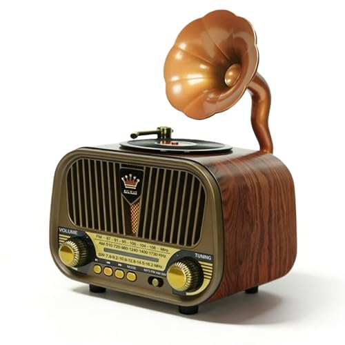 Radio rétro avec Bluetooth, petite radio nostalgique, radio Bluetooth rétro, pour randonnée, camping, cadeau, bureau, maison
