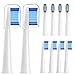 10er AYAITEE Aufsteckbürsten Kompatibel mit Oral B Pulsonic Clean, Pulsonic Slim 1000, Pulsonic ONE 2000, Pulsonic Slim Luxe 4000, Ersatzbürstenkopf mit Abdeckungen AYAITEE günstig Kaufen-10er AYAITEE Aufsteckbürsten Kompatibel mit Oral B Pulsonic Clean, Pulsonic Slim 1000, Pulsonic ONE 2000, Pulsonic Slim Luxe 4000, Ersatzbürstenkopf mit Abdeckungen